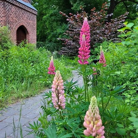 Wasserturm Am Park Sanssouci Apartment